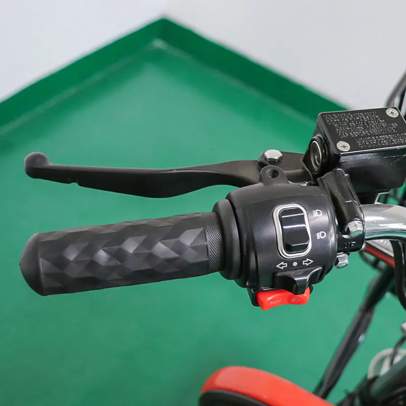 Two Wheels Electric Cargo Motorcycle
