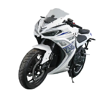 Adult Electric Motorcycle Eec Moped