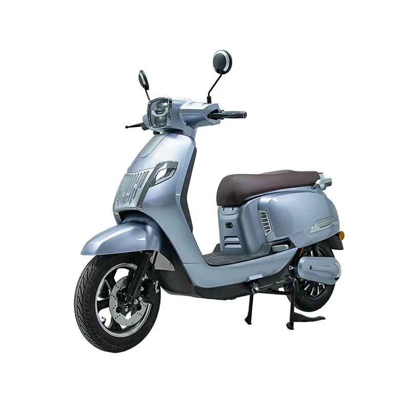 Electric Motorbike for Adults 10 Inch 800W Motor